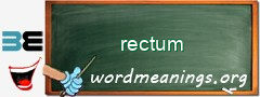 WordMeaning blackboard for rectum